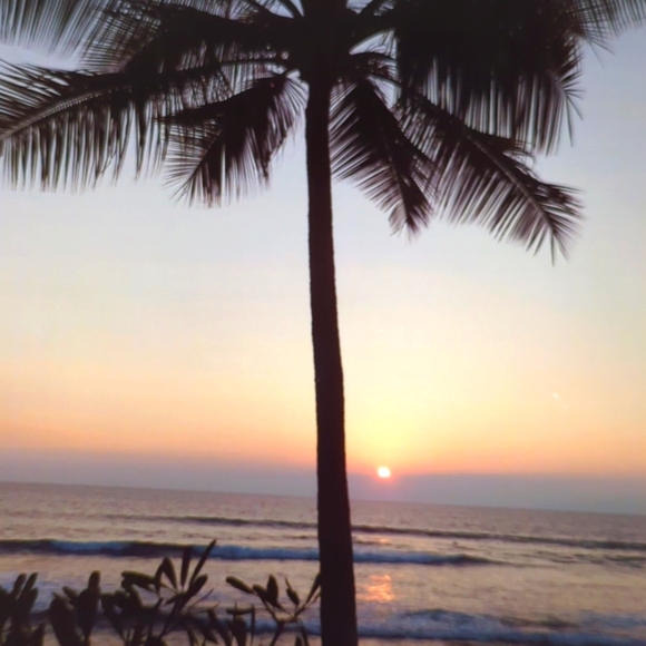 Beautiful Tropical Photo 10x8 Great for Framing - Picture 4 of 4